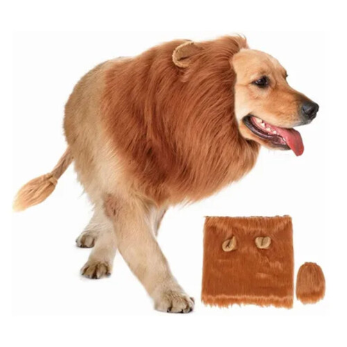 Hund Löwenmähne-Kostüm - Einheitsgröße, Schweif, Polyester 1