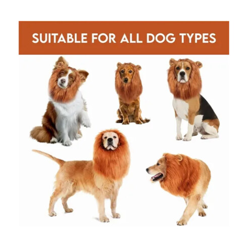 Hund Löwenmähne-Kostüm - Einheitsgröße, Schweif, Polyester 2