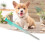 EM4305 S256 Microchip para animales 1.25x7mm 512Bit RW 15