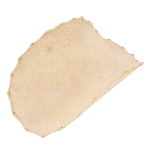 Piel de cabra para tambor 36cm para bongo/djembe 2