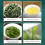 40 Teebeutel aromatisierter Tie Guan Yin-Oolong-Tee 100 g 13
