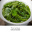 40 Teebeutel aromatisierter Tie Guan Yin-Oolong-Tee 100 g 4