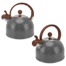 Whistling Kettle 2.5L Capacity Stainless Steel Stovetop Teapot for Water Boiling Grey