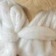 Typ 6 Plüschbär-Kleidung für Stofftiere