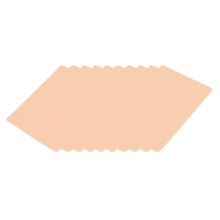 10 Stück blanke Tattoo-Praxishaut 18.8x14.1cm, 1mm
