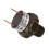 Edelstahl-Luftdruckschalter 170-200 psi 4