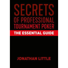 Secrets of Professional Tournament Poker
