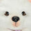 Little Live Pets Luna The Samoyed Puppy - Interactive, 60+ Sounds 9