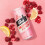 Lo Bros Kombucha Raspberry Lemon 24x250ml - Live Cultures, Low Sugar 3