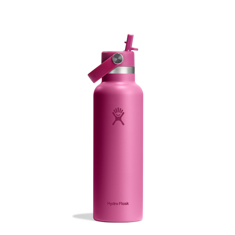 HYDRO FLASK - Standard Mouth Water Bottle 621 ml (21 oz) - Vacuum Insulated Stainless Steel Water Bottle with Flex Straw Cap - Reef