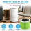 Levoit LEVOIT Air Purifier Mold & Bacteria Replacement Filter, 3-in-1 HEPA, High-Efficiency Activated Carbon, Core 300-RF-MB, Green 7