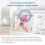 VTech VTech VM3250 Video Baby Monitor, Night Vision 10
