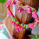LEGO LEGO Heart Ornament 40638 3
