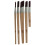 Coral Aspire 5pc Slant Fitch Paint Brush Set 3