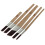 Coral Aspire 5pc Slant Fitch Paint Brush Set 4
