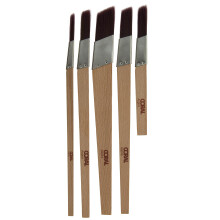 Coral Aspire 5pc Slant Fitch Paint Brush Set
