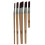 Coral Aspire 5pc Slant Fitch Paint Brush Set 1