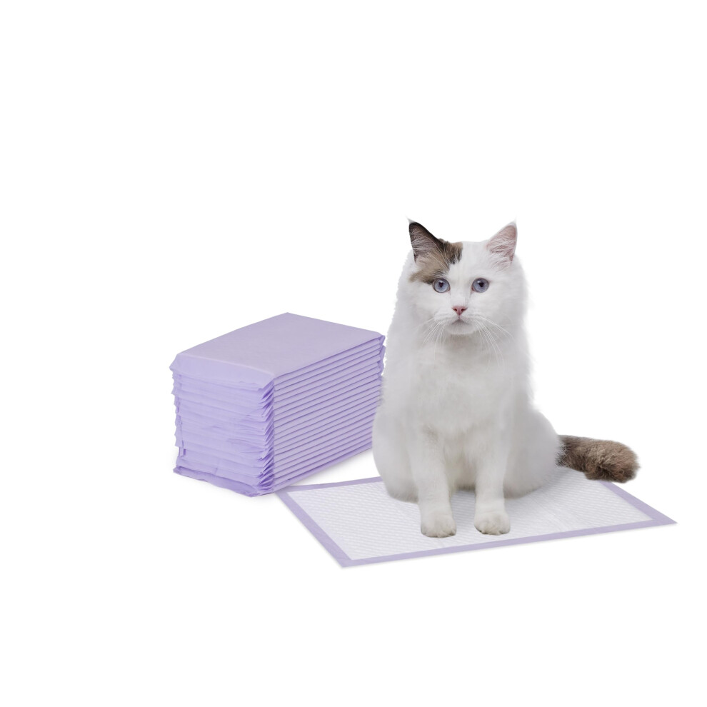 Amazon Basics Cat Litter Box Pads, Pack of 20, Unscented, Purple, White