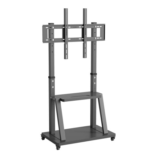 Adjustable Mobile TV Stand with Dual Shelves and Stable Bracket