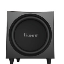 iBass 12-inch 300W piekvermogen subwoofer met Echo Wall-versterker - thuisbioscoop boombox en boekenplank audiosysteem