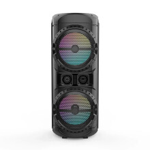 Krachtige dubbele 12-inch Bluetooth-luidsprekers - 125W draagbaar draadloos karaoke-systeem met TWS-subwoofer, microfoon, USB, FM en TF-onde