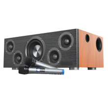 High Power 110W Bluetooth Subwoofer Speaker met Echo Wall - Houten Home Theater & Karaoke Audio Systeem