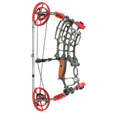 Versatile 30-70lbs Compound Bow with Dual Use for Archery, Steel Ball Shooting, and Fishing - 420fps Performance with Arrows and Accessories