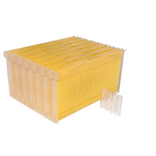 Auto-Flow Honey Bijenkorf Set: 7 Zelfstromende Ramen voor Moeiteloos Bijenkappen