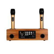 Yarmee Professioneel Echo Draadloos Karaoke Systeem met Dubbele Microfoons & Bluetooth Speaker Versterker voor Thuis KTV