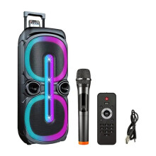 10-Inch High-Power Portable Bluetooth Speaker with Karaoke, FM Radio, and DJ Subwoofer