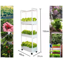 3-laags binnen hydroponisch tuin toren met 42 plantplaatsen en 6 groeilampen