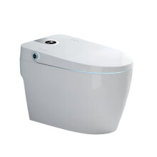 2024 Japanese Smart Toilet: Electric Multifunction Ceramic Elongated Bowl with Sunken Tank Design