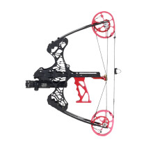 Dual Purpose 45lbs Compound Bow for Left & Right Handed Archery - I for Outdoor Hunting & Practice with Steel Ball Shooting