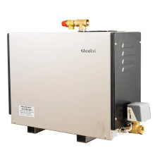 21kW RVS Stoomdouchebad Generator met automatische nat- en droogstoomfunctie