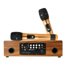 120W Bluetooth HiFi Stereo Karaoke Speaker met Dual Draadloze Microfoons voor Gezinsfeesten