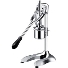 Roestvrijstalen 30 cm Franse frietmaker - 12-gaten aardappelstrookextruder voor perfecte gebakken frieten