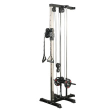 Multi-Functional Wall-Mounted Bird Trainer with Adjustable Pull Rod for Chest Expansion