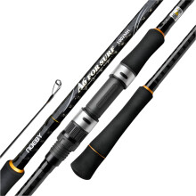 Premium Noeby Shore Casting Hengels met Fuji Guide - I voor Zeebaars & Platvis, 3,05m & 3,2m, Aasgewicht 10-45g & 20-70g