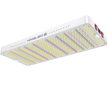 KingLED 4000W LED groeilamp met Samsung 301H - Phytolamp voor binnenplanten, zaailingen, bloemen, kweektent en hydrocultuur