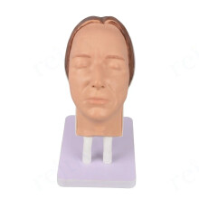 Silicone vrouwelijke gezichtsmannquin voor realistische make-up en injectietraining