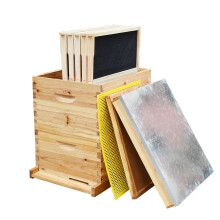 Premium Langstroth Bijenkast Kit - Complete Houten Bijenhoudersuitrusting