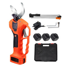 Cordless 40mm Electric Pruning Shears for Fruit Trees with Extended Reach, Charger & Dual Batteries