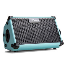 CoolMusic 80W Portable Acoustic Guitar & Ukulele Amplifier with Rechargeable Battery and Smart Speaker Functionality