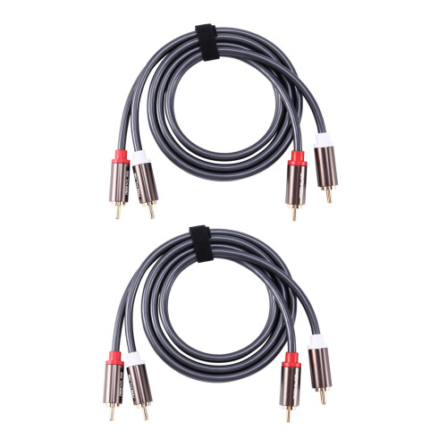 Câble audio Hi-Fi Rexlis 2 vers 2, câble d'enceinte AV OFC 1 m
