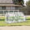 4 x 2 x 2 ft Mini Greenhouse with 2 Zipper Doors 1