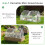4 x 2 x 2 ft Mini Greenhouse with 2 Zipper Doors 5
