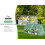 6 x 3 x 3 ft Mini Greenhouse with 2 Zipper Doors Includes 2 Covers 5