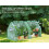 6 x 3 x 3 ft Mini Greenhouse with 2 Zipper Doors Includes 2 Covers 12