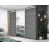 FHIF DALLAS Modern Sliding Door Wardrobe with Mirror (250cm, Grey) 1
