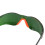 Hellgrüne Schweißerbrille aus PC-Nylon, Einheitsgröße 9